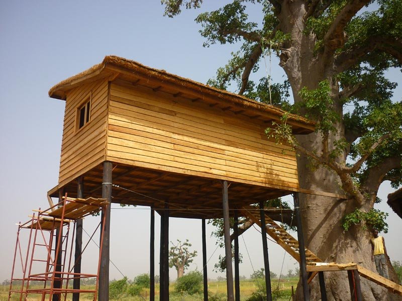 Construction bois en hauteur